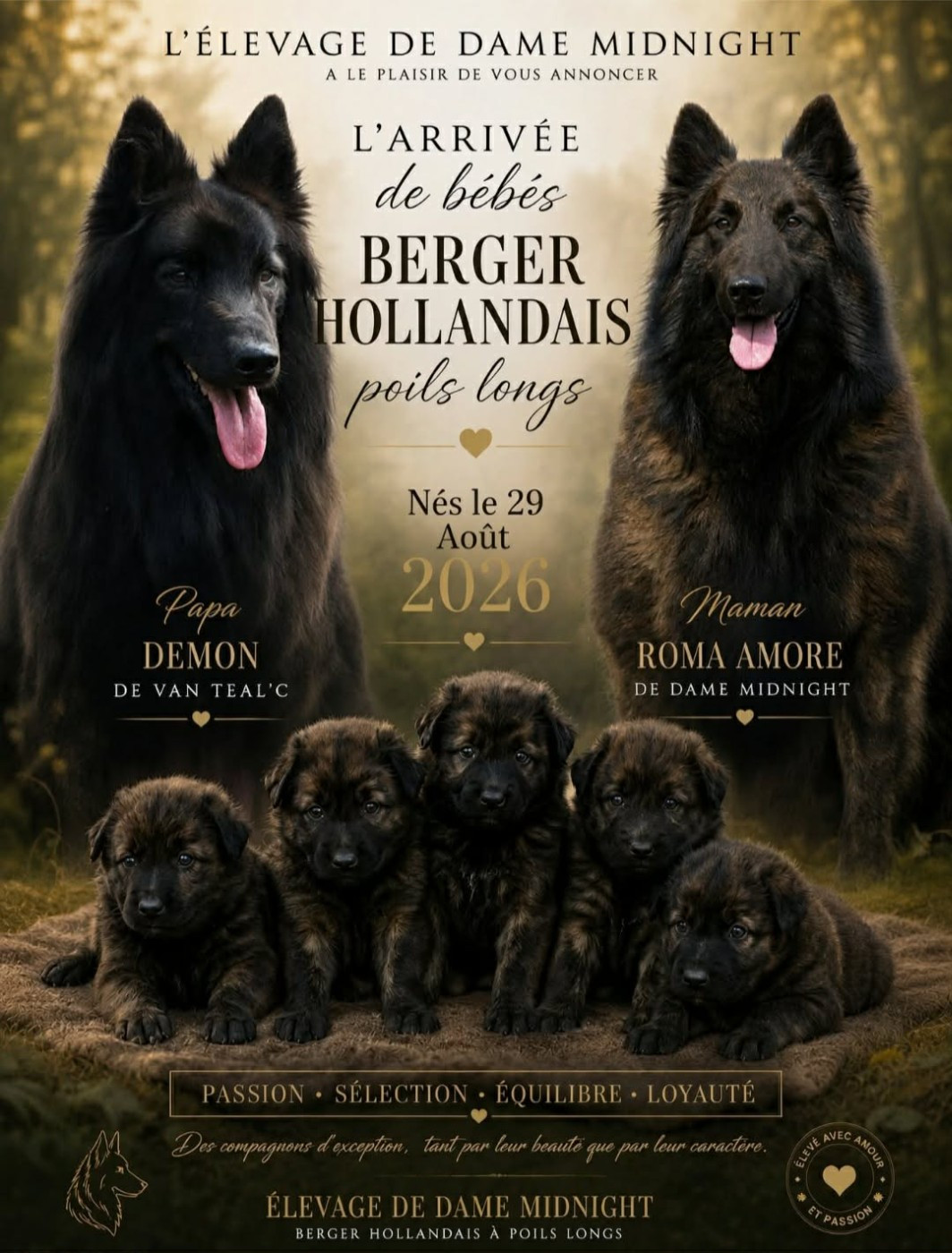 Les bébés sont arrivés !!!!!!!